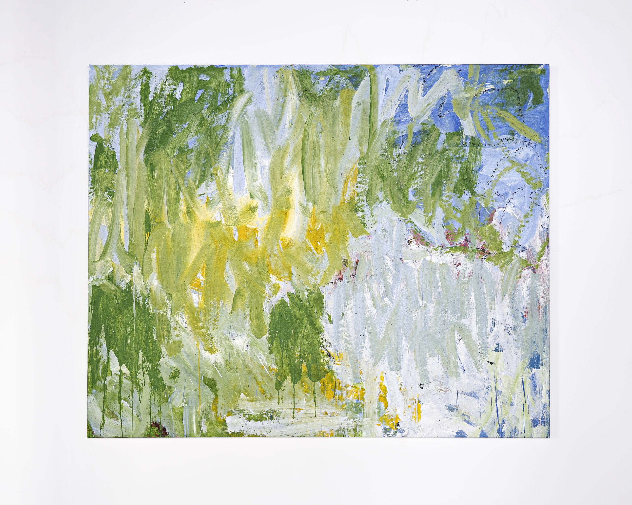 Untitled (Los Prados)