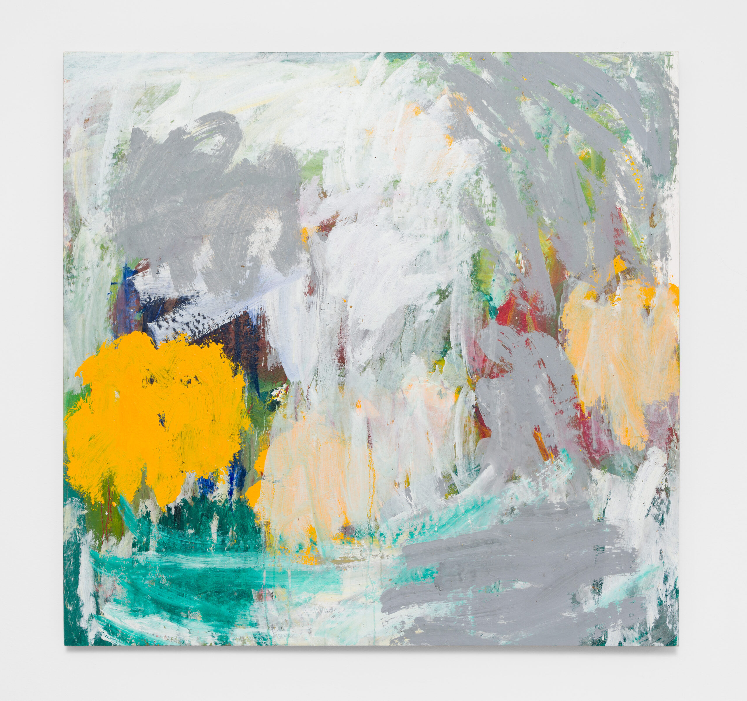 Untitled (Calcicoles)